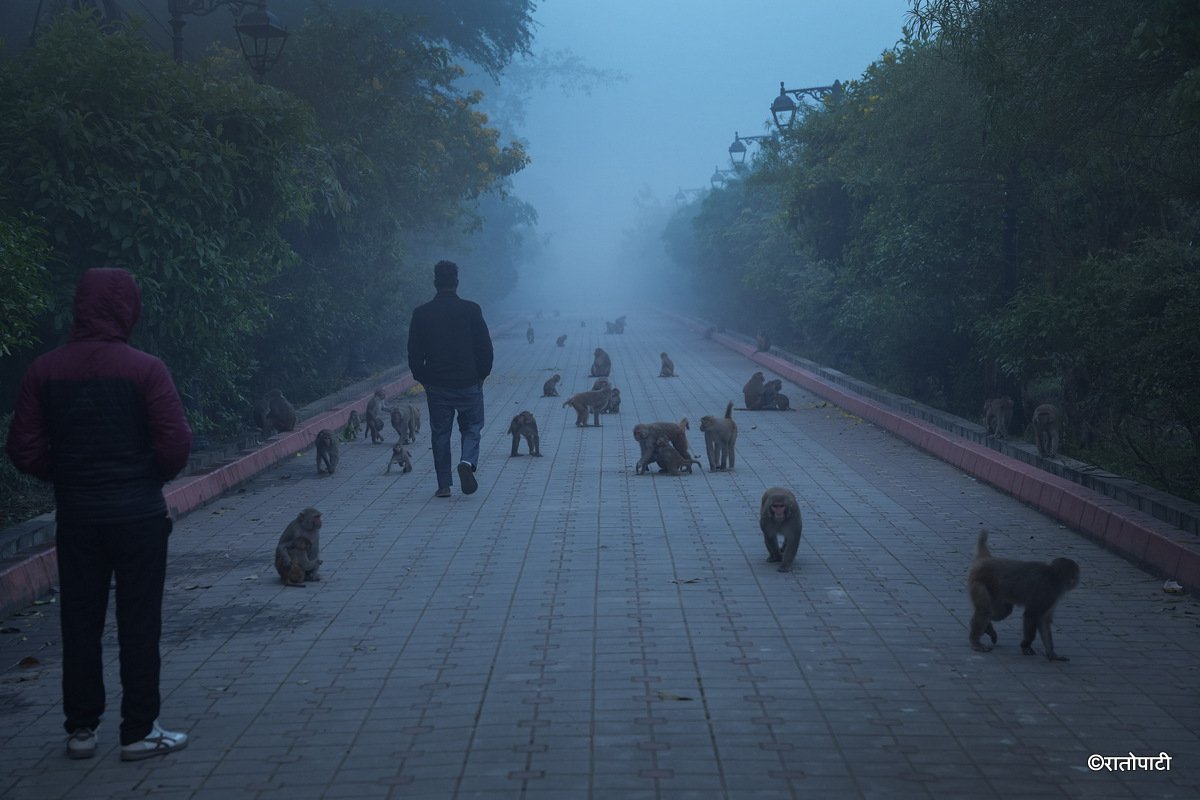 Lumbini_morning (11)