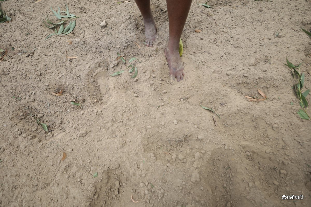 madesh khadari (11)