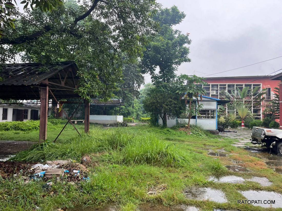 madhes bhaban jaleko (8)