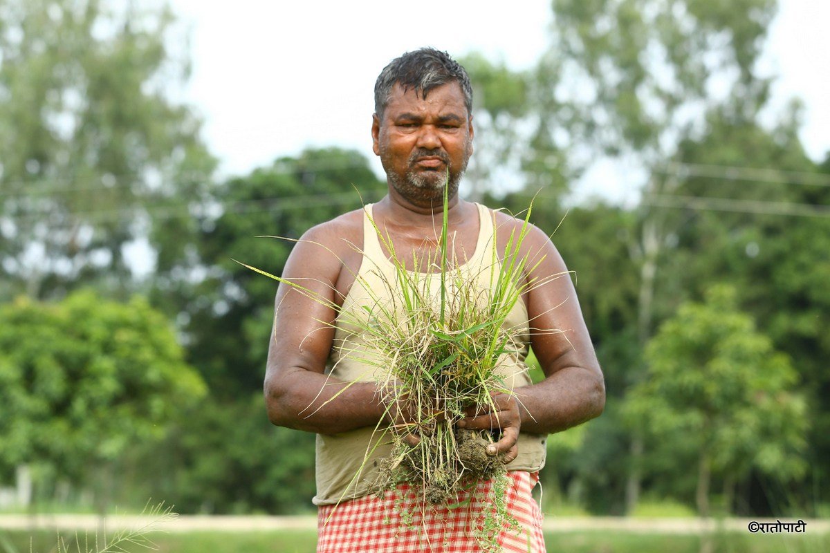 madhesh khaderi (1)