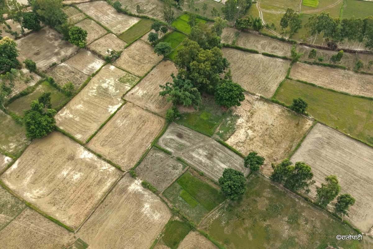   मधेसको ४६ प्रतिशत क्षेत्रमा हल्का वर्षा : गर्मी घट्यो, पानी संकट उस्तै