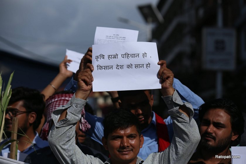 madhesi-maitighar-pradarsan (16)