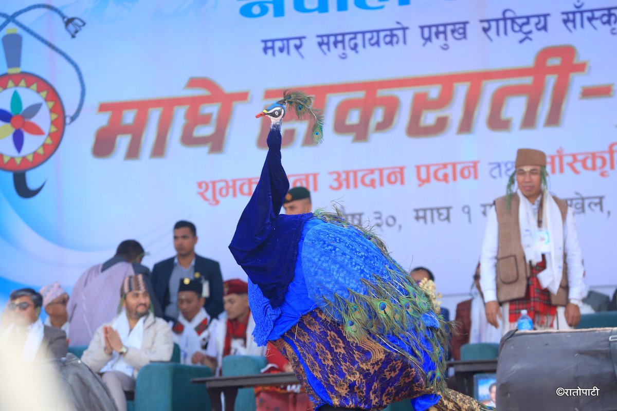 maghi maghe sakranti (11)