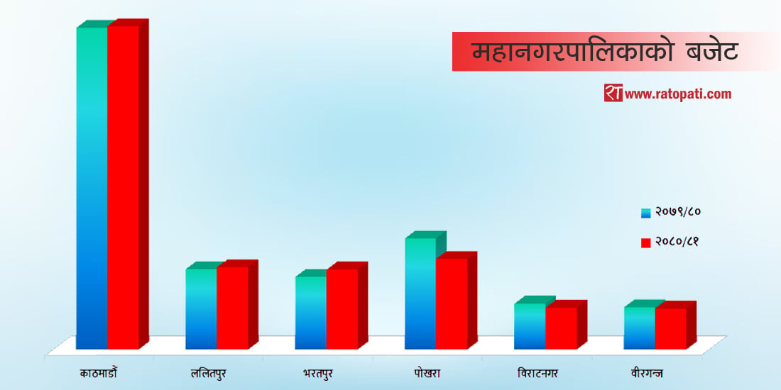 ६ महानगरको बजेट : आधाको घट्दा भरतपुरको व्यापक वृद्धि