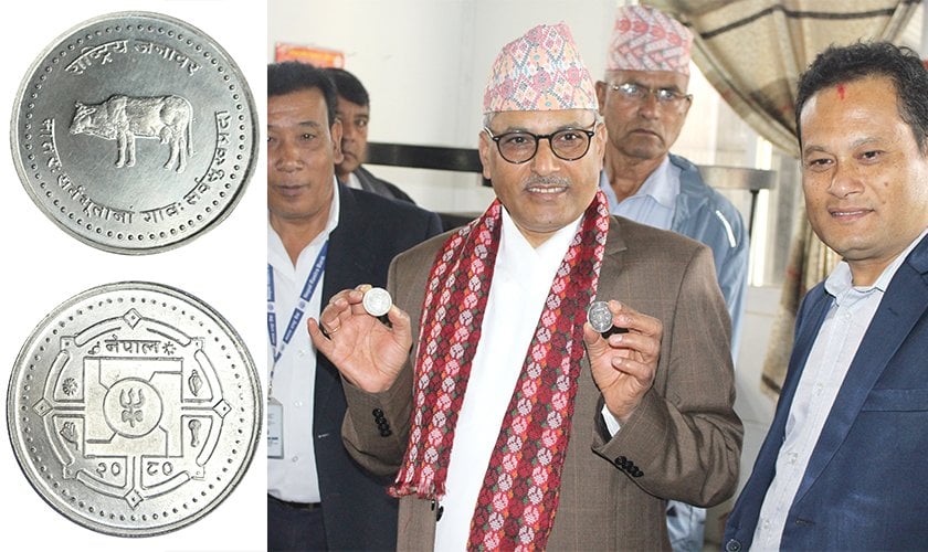 गाईको चित्र अङ्कित ‘मेडालियन सिक्का’को बिक्री सुरु