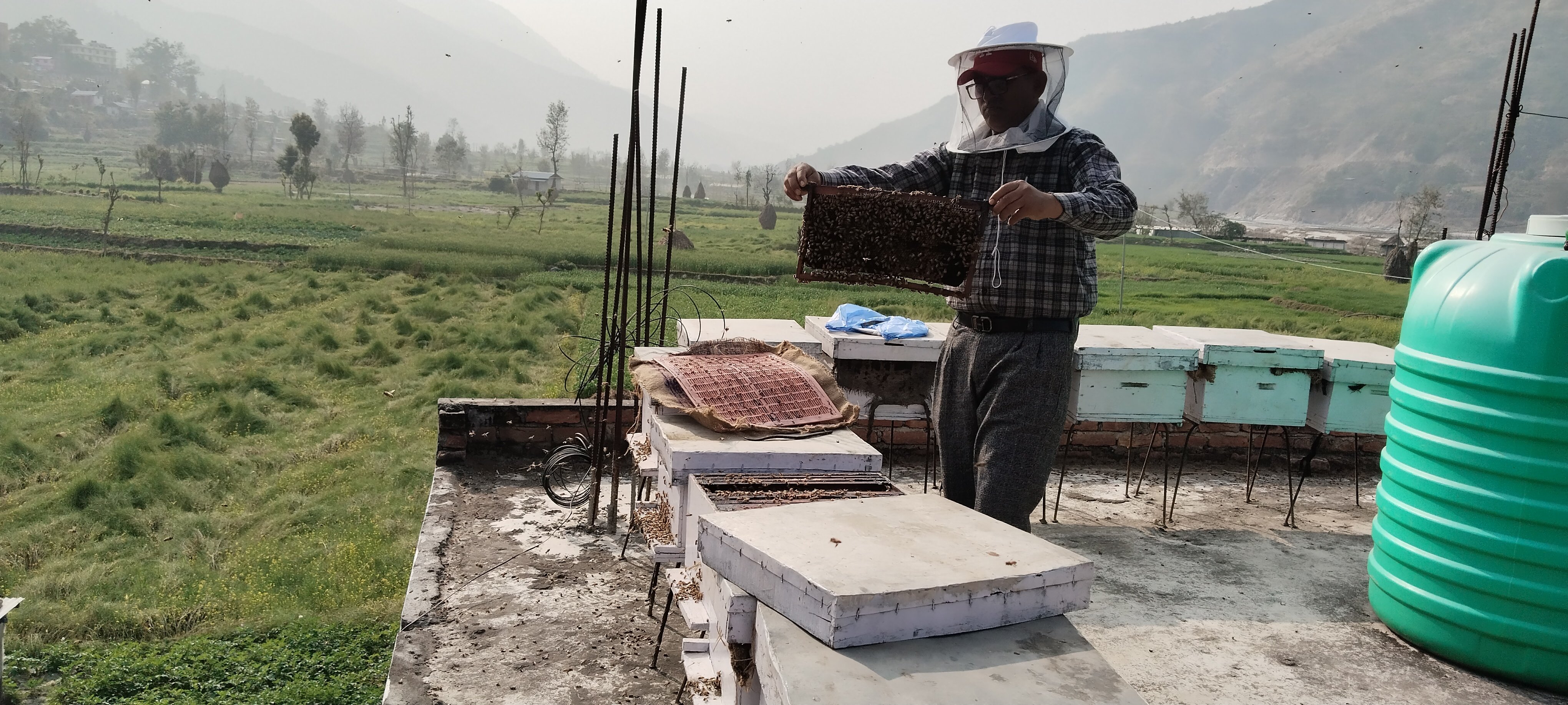 व्यावसायिक माहुरीपालन फस्टाउँदै