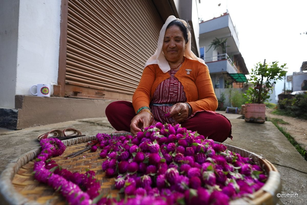 तिहारमा फूल बिक्री स्थल तयार पार्दै काठमाडौँ महानगर