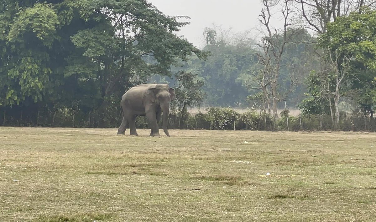 तर्साउन हानिएको गोली लागेर मकुनाको मृत्यु