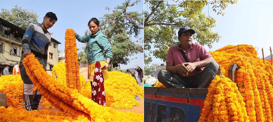 संघीय राजधानीमा फूलको व्यापार, फुटपाथदेखि टिपरसम्मको प्रयोग (तस्बिरहरू)