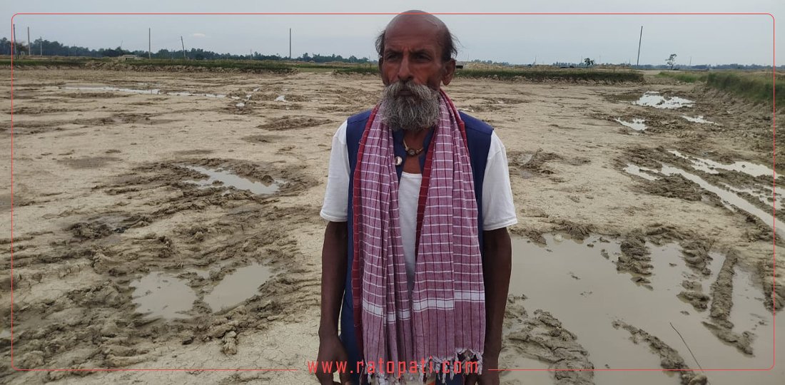सडक बनाउन सार्वजनिक जमिन उत्खनन् गर्दै निर्माण कम्पनी