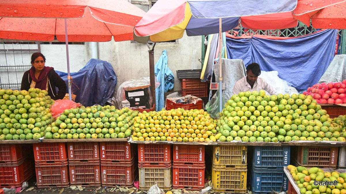 कार्बाइड हालेर पकाएको आँप बजारमा छ्यापछ्याप्ती, सचेत हुन विज्ञको सुझाव