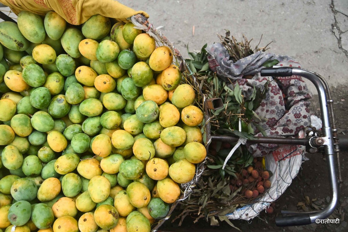 mango (11)
