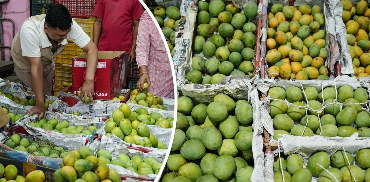 नेपाली आँप आउन थाल्यो बजारमा (तस्बिरहरू)