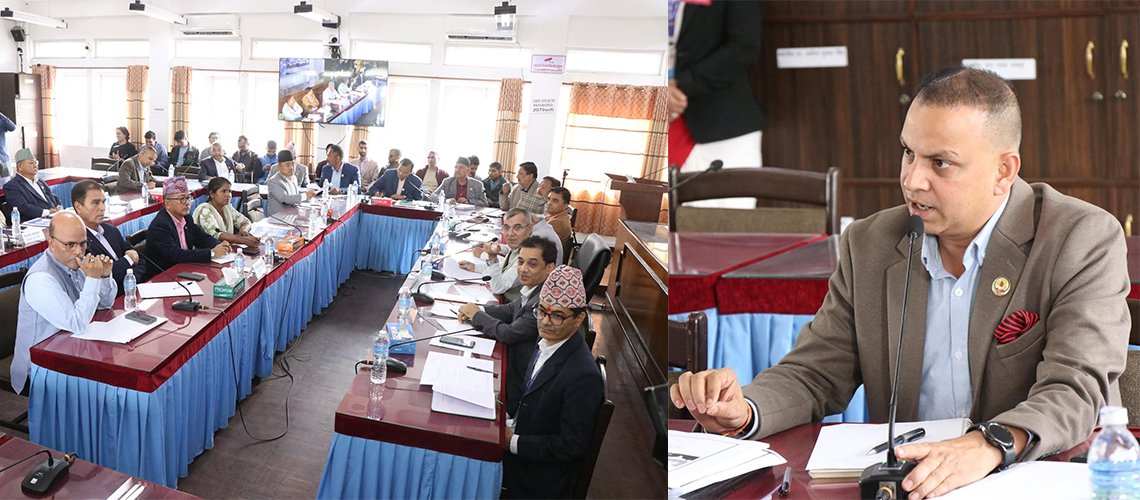   मनीष झाले रोपेको ‘स्वार्थको द्वन्द्व’को बीउले लेखा समितिमा लफडा