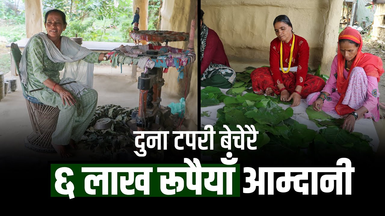   खेर जाने पातबाट यसरी बन्छन् टपरी : उद्यमी बन्दै कैलालीका महिलाहरू