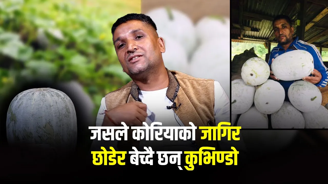   कोरियाबाट फर्किएर कुभिन्डो बेचेरै मालामाल