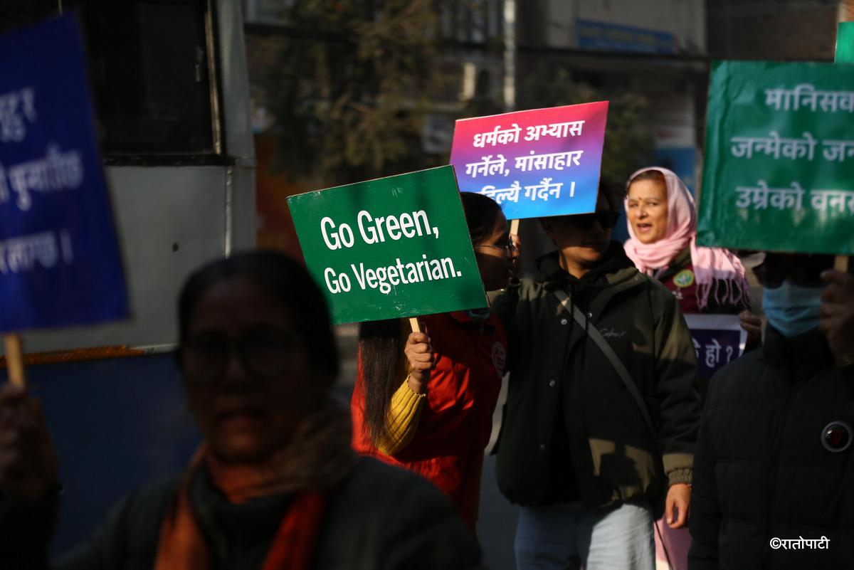 meat agreement protest (10)