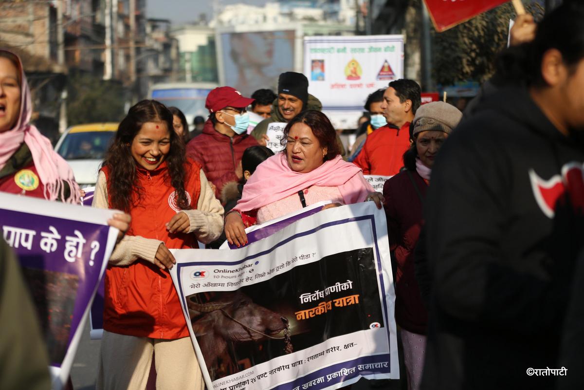 meat agreement protest (3)