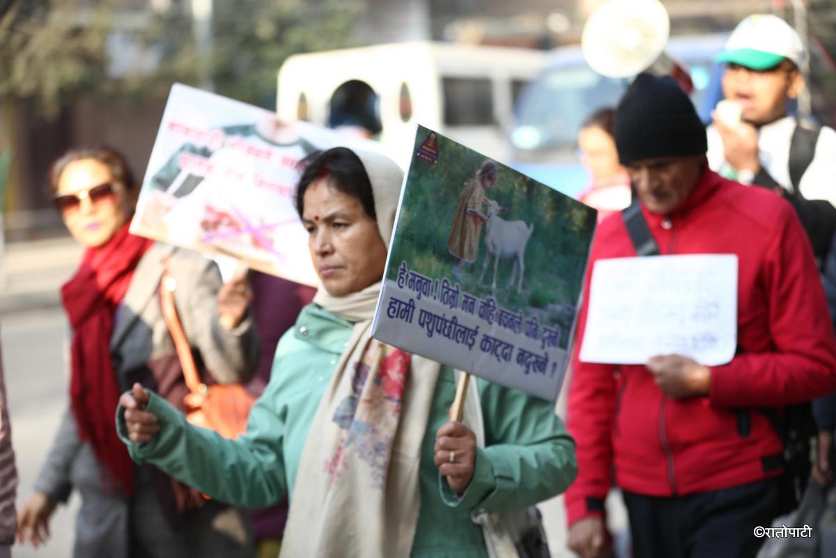 meat agreement protest (6)