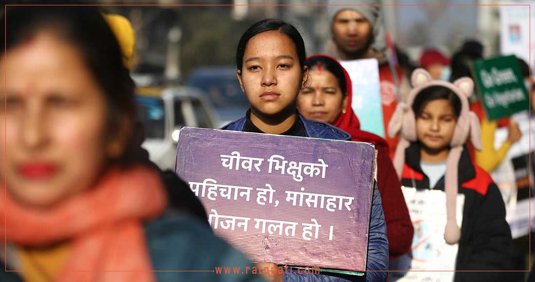 भैँसीको मासु निर्यातबारे सम्झौता खारेज गर्न माग गर्दै प्रदर्शन, तस्बिरहरू