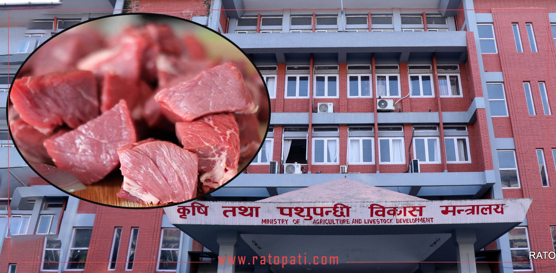 नेपालबाट चीनमा मासु निर्यातको तयारी कहाँ पुग्यो ?