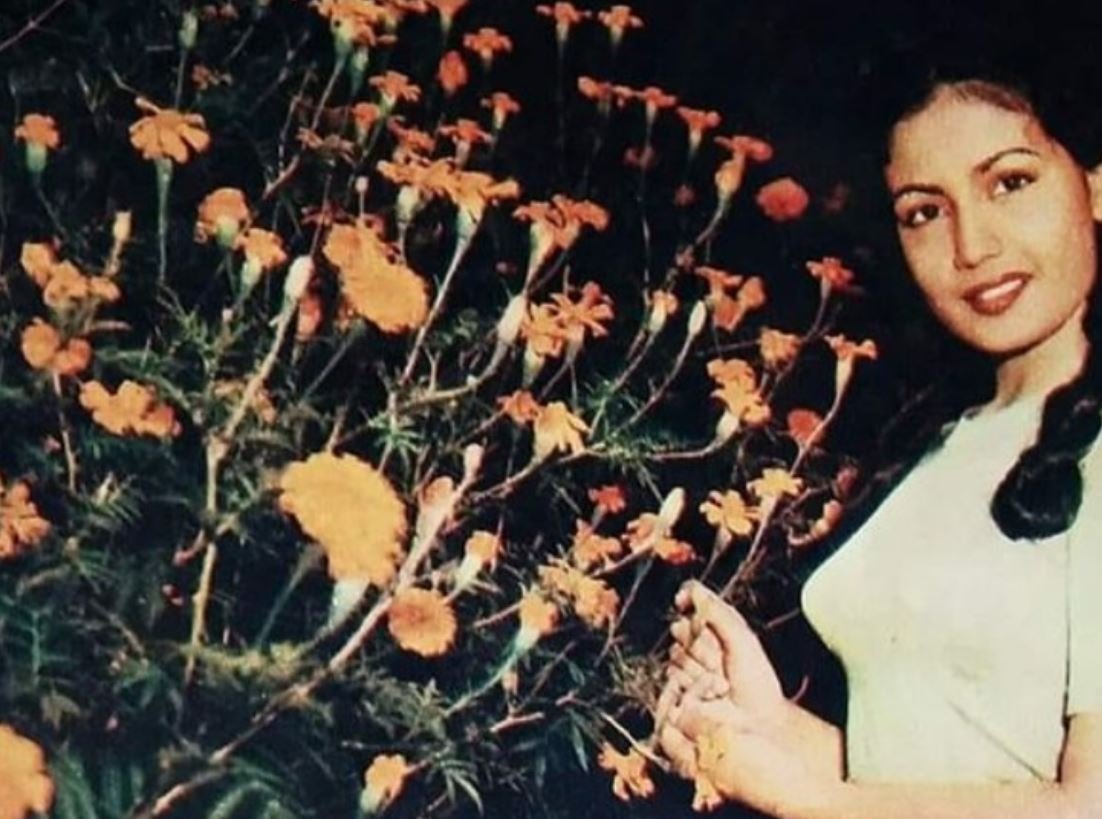 meena kimari