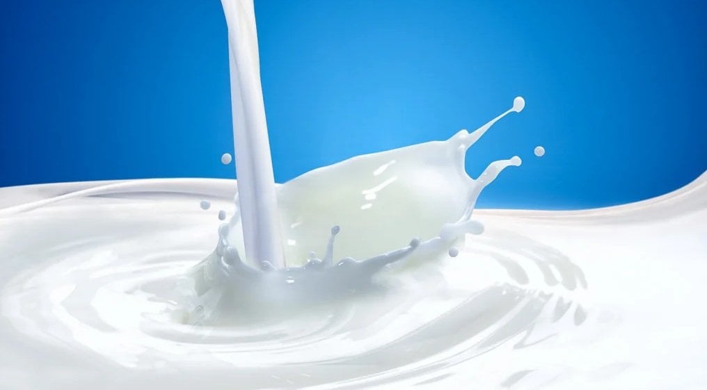 आज विश्व दूध दिवस, विभिन्न कार्यक्रमका साथ मनाइँदै