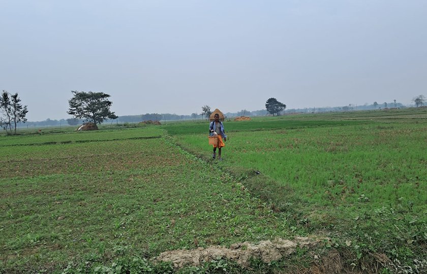 Morang 5 Voters4