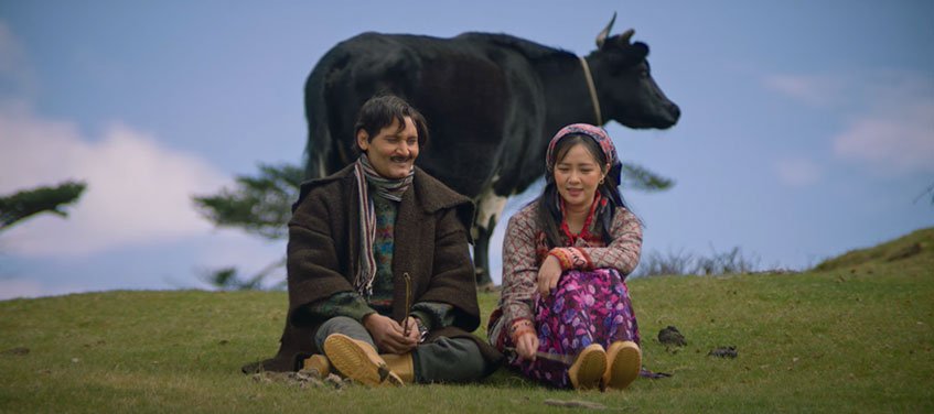  ‘ऊनको स्वीटर’ ओटीटीमा