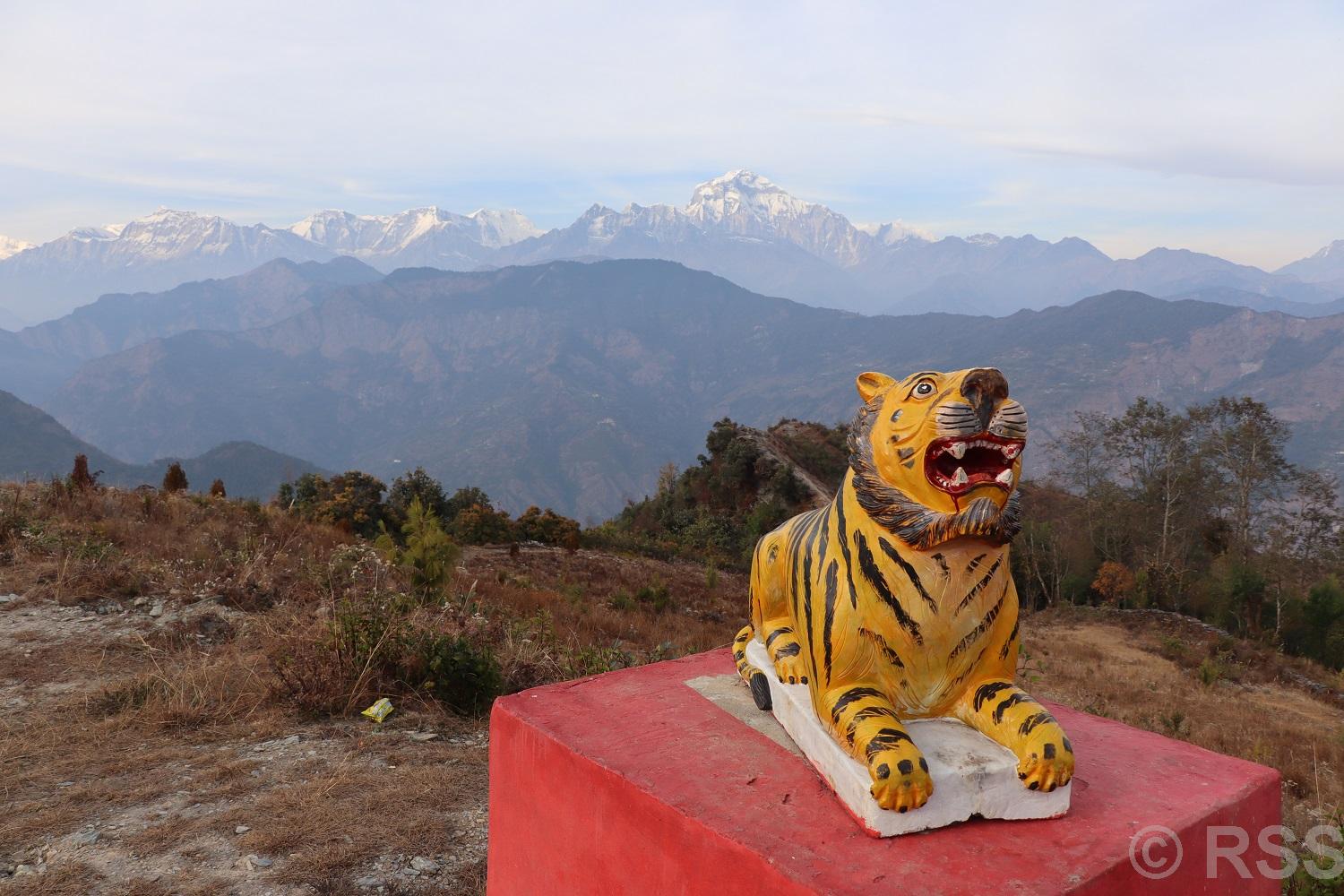   बाघखोरमा बाघको प्रतिमासहितको ‘पार्क’ निर्माण