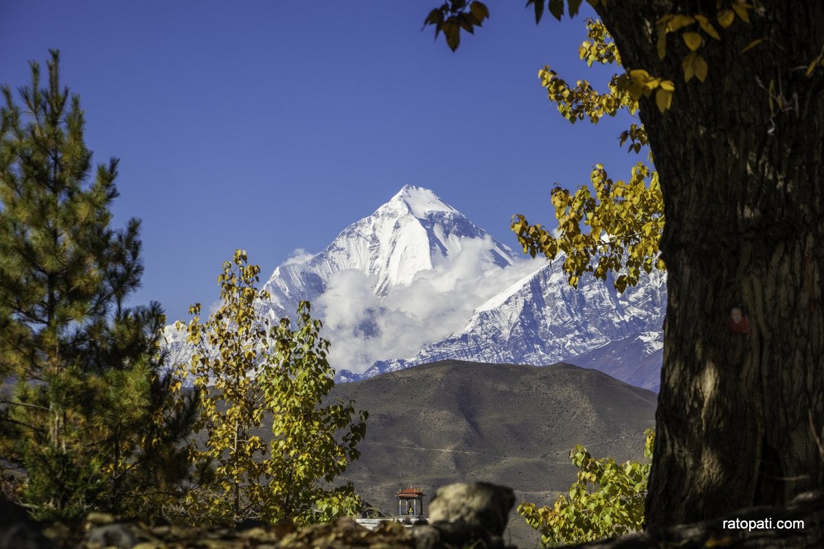 muktinath (6)