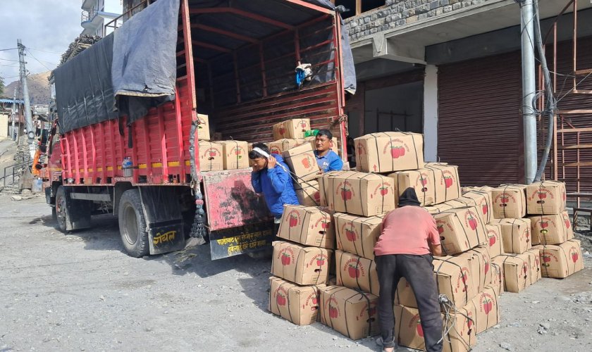 मुस्ताङमा यस वर्ष रु एक अर्बभन्दा बढीको स्याउ उत्पादन