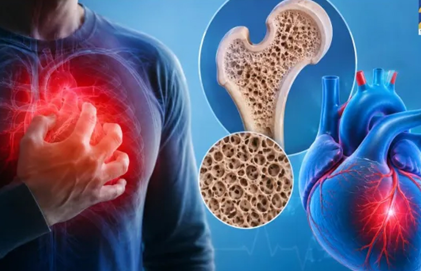   मुटुको लागि किन महत्त्वपूर्ण छ क्याल्सियम ?