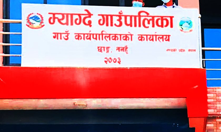 म्याग्दे गाउँपालिकामा हल गोरु पाल्ने कृषकलाई अनुदान