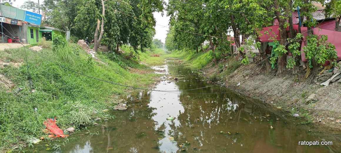 ५० वर्ष पुरानो गण्डक नहर जीर्ण बन्दै, सिँचाइमा देखियो समस्या