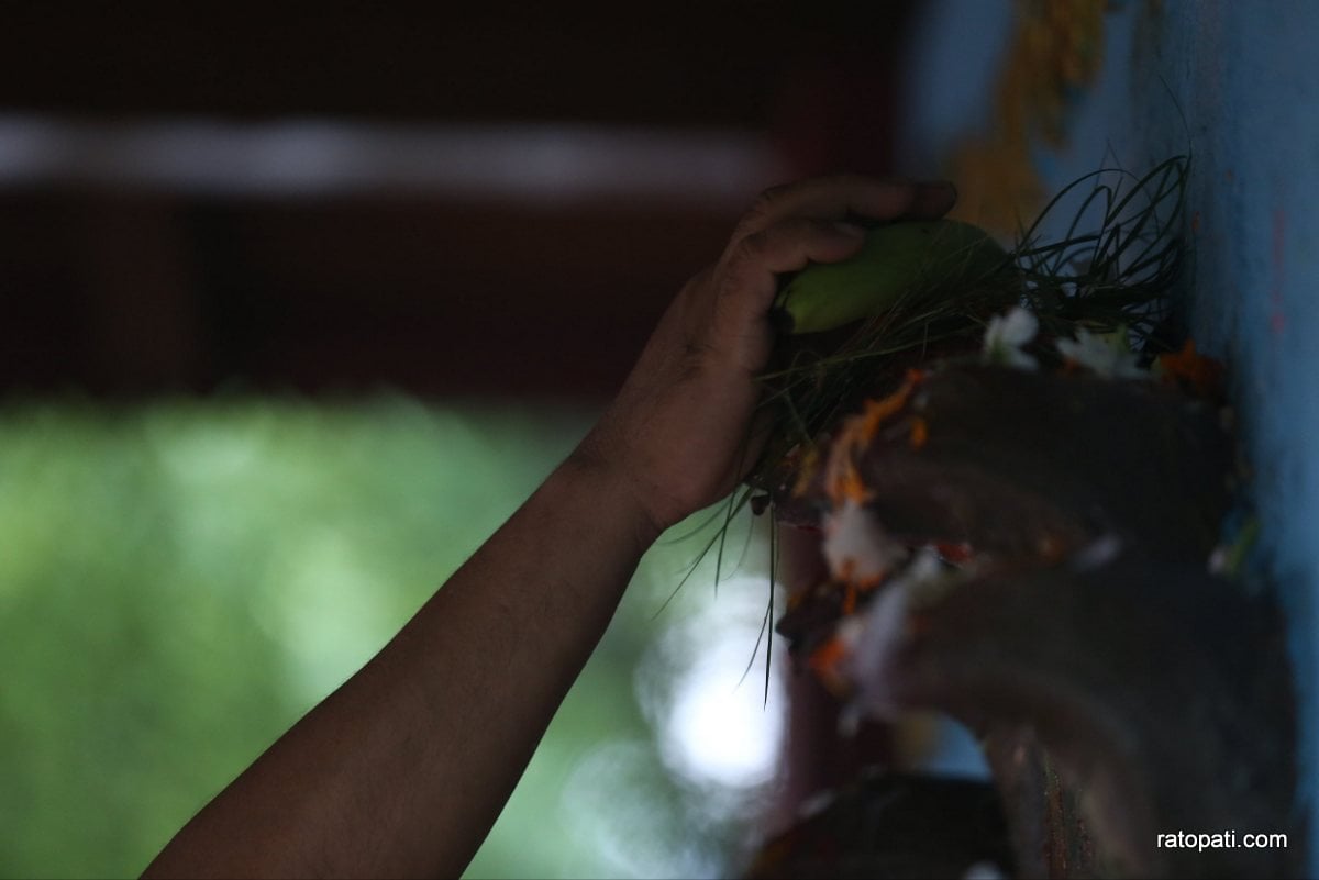 naag panchami naagpokhari  (3)