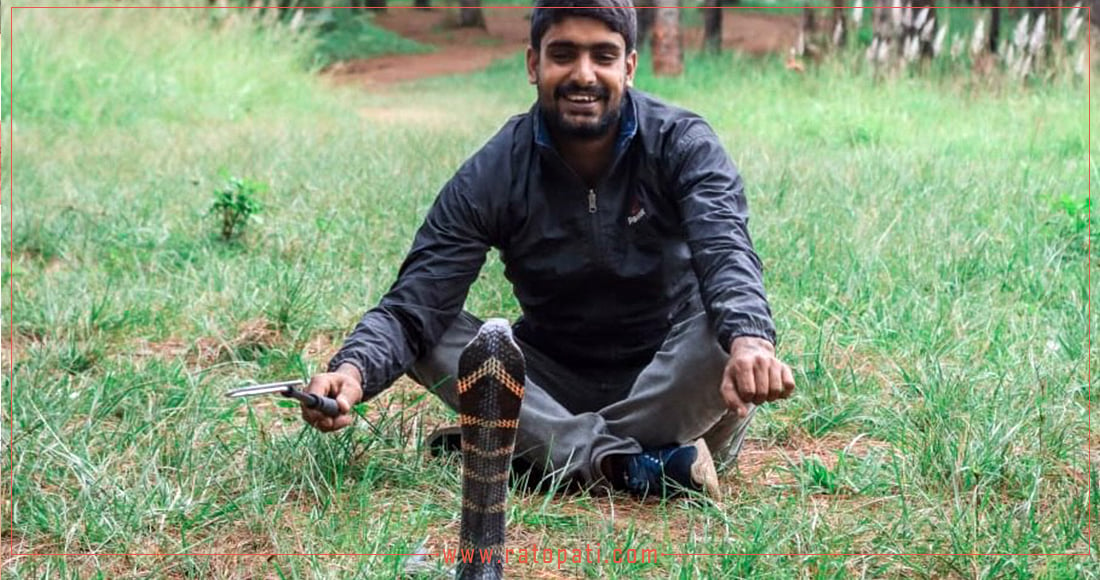 किङ कोब्रा उद्धार गर्दै सुबोध, तस्बिरहरू