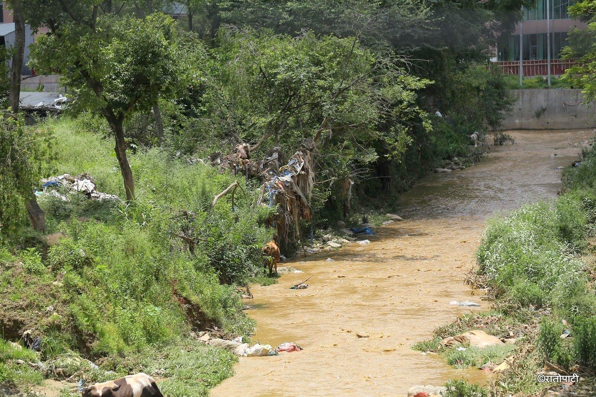 nakkhu khola (8)