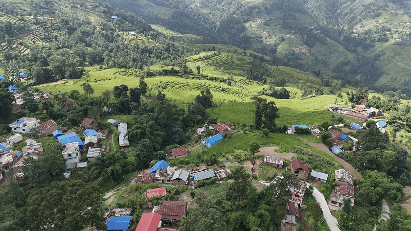 nanglebhare-dhan-khet (10)