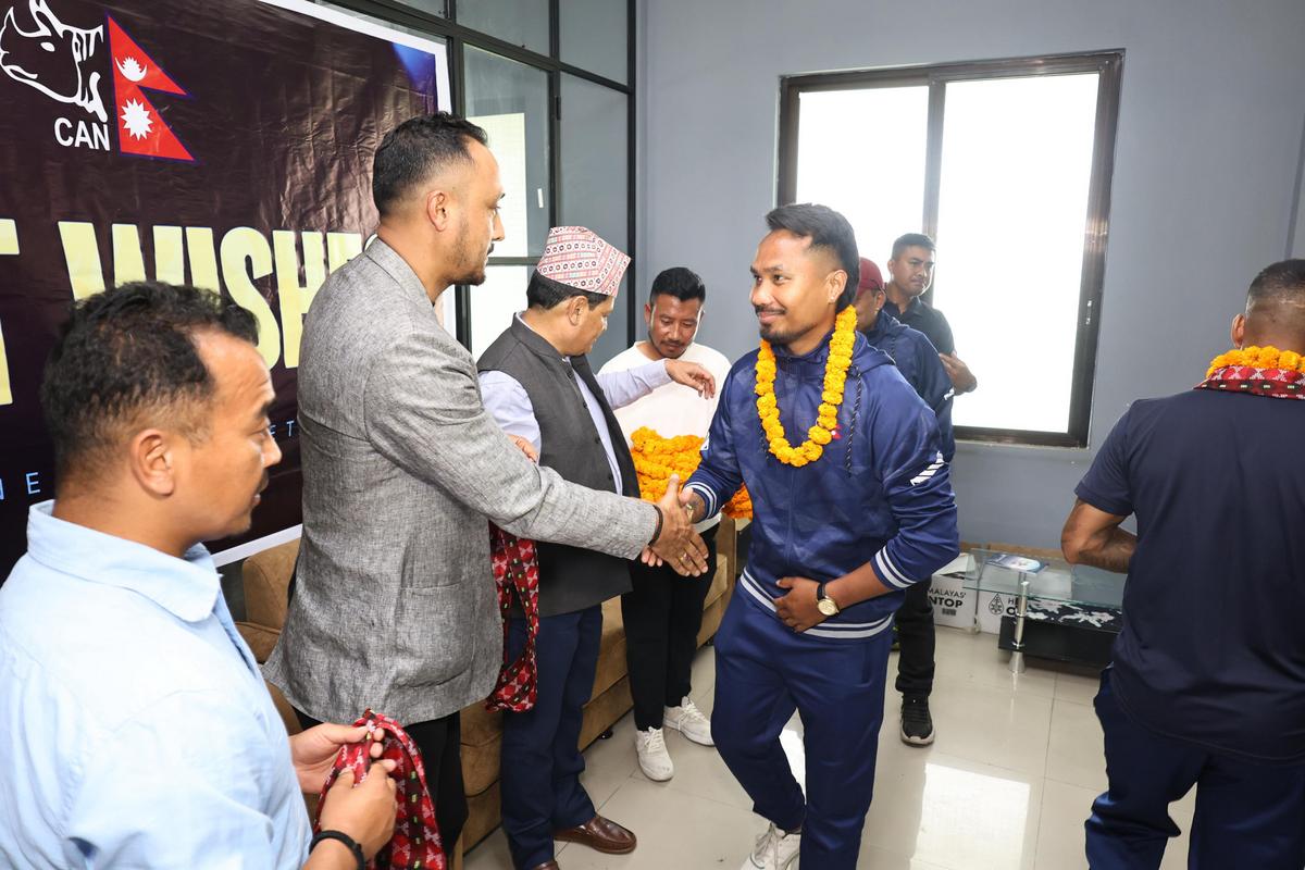 national cricket team (6)
