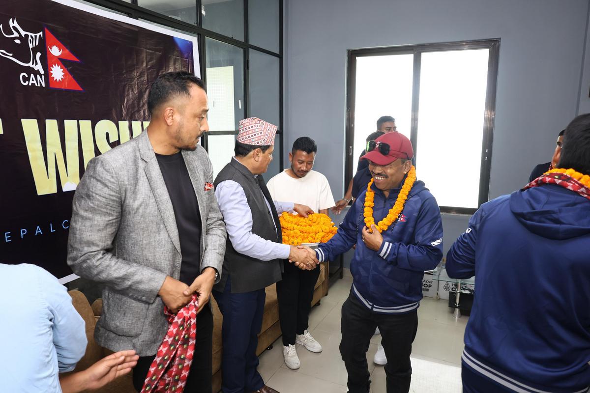 national cricket team (8)