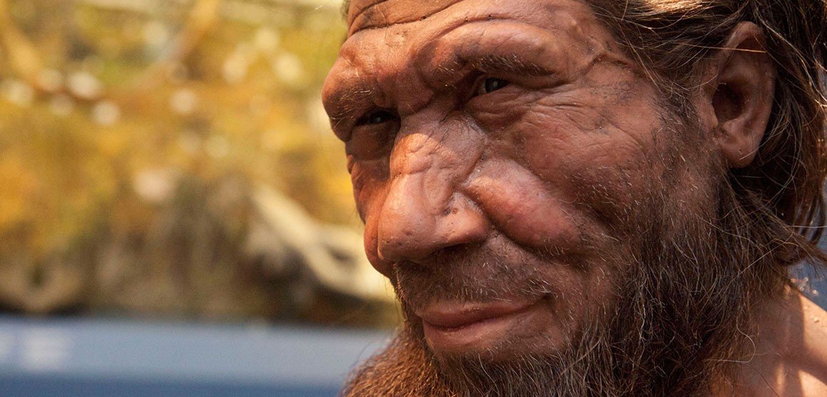 Neanderthal_2