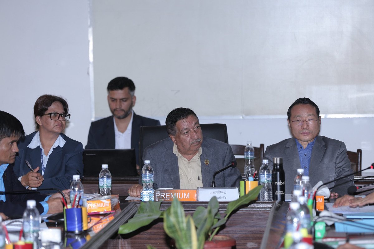   नेप्सेबारे अर्थ समितिमा गरमागरम, कसले के भने ?