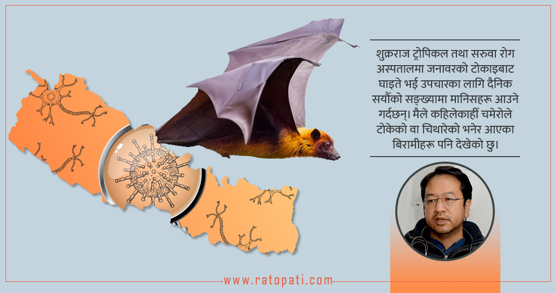   कतै निपाह भाइरस नेपालमा पनि उडिरहेको त छैन ?