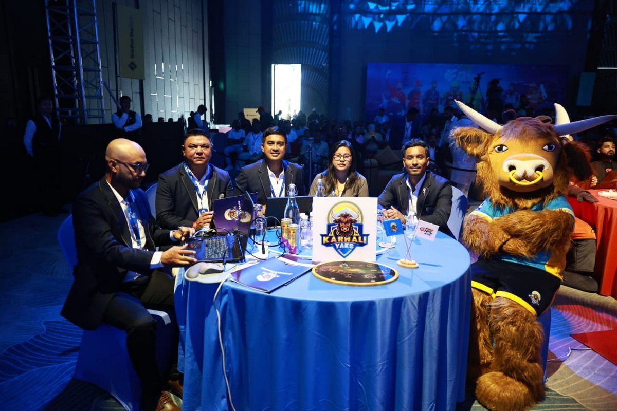 NPL 3 auction_NPL (4)
