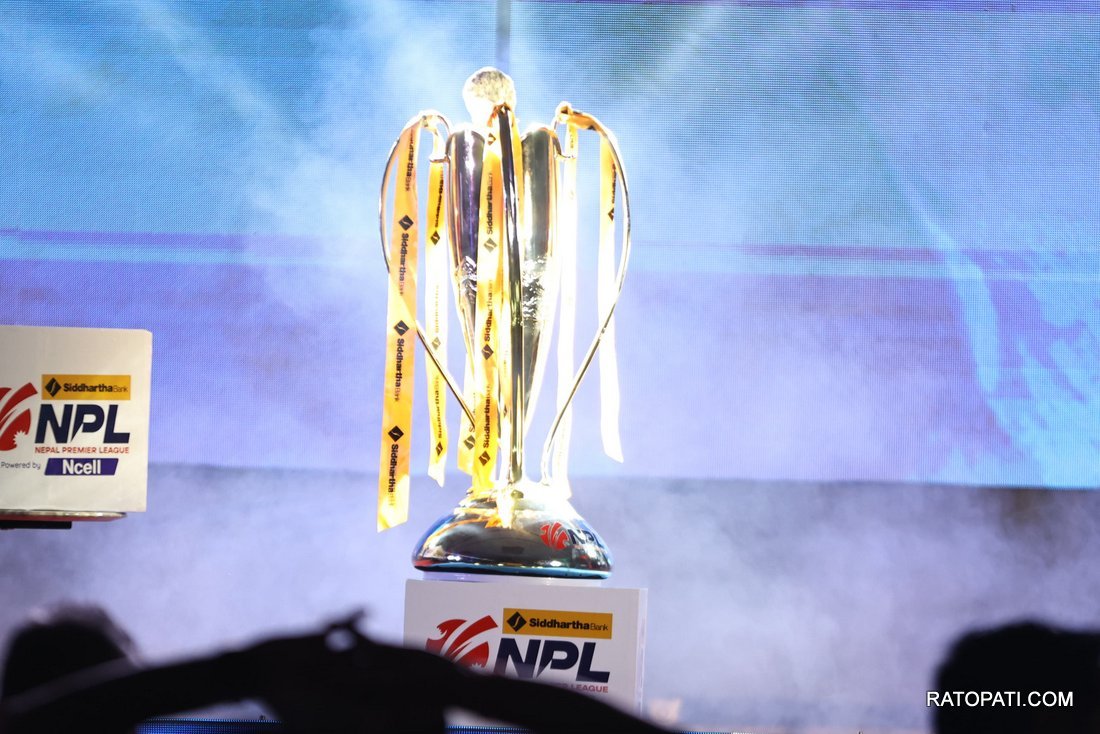 NPL Auction_NPL (16)