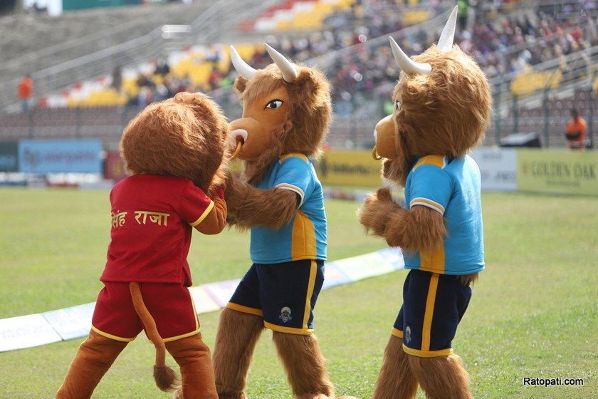 npl-photo (18)
