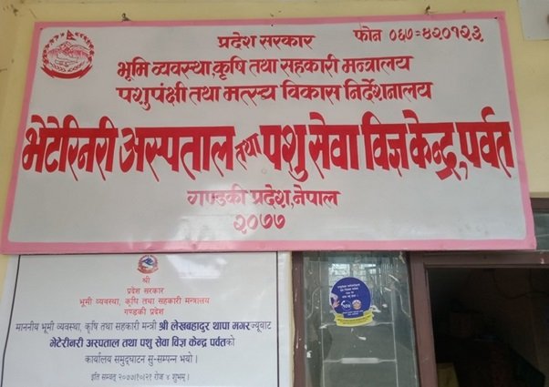   पशुपालक किसानलाई आत्मनिर्भर बनाउन रु ८० लाख अनुदान