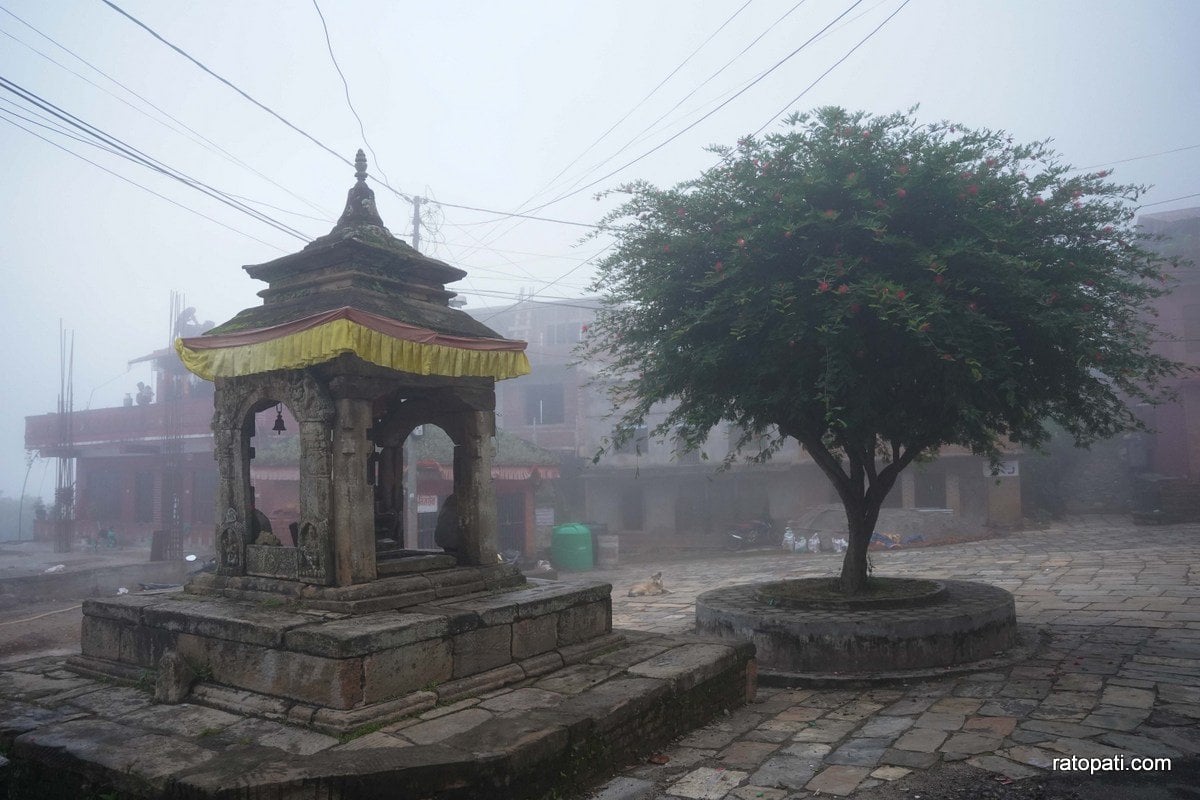 nuwakot sampada (12)