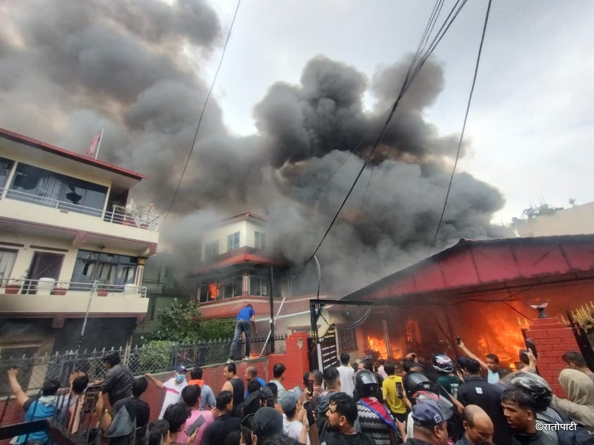 oli niwas (3)